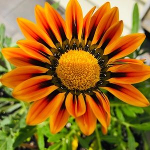 Meet your Posher, Lorraine